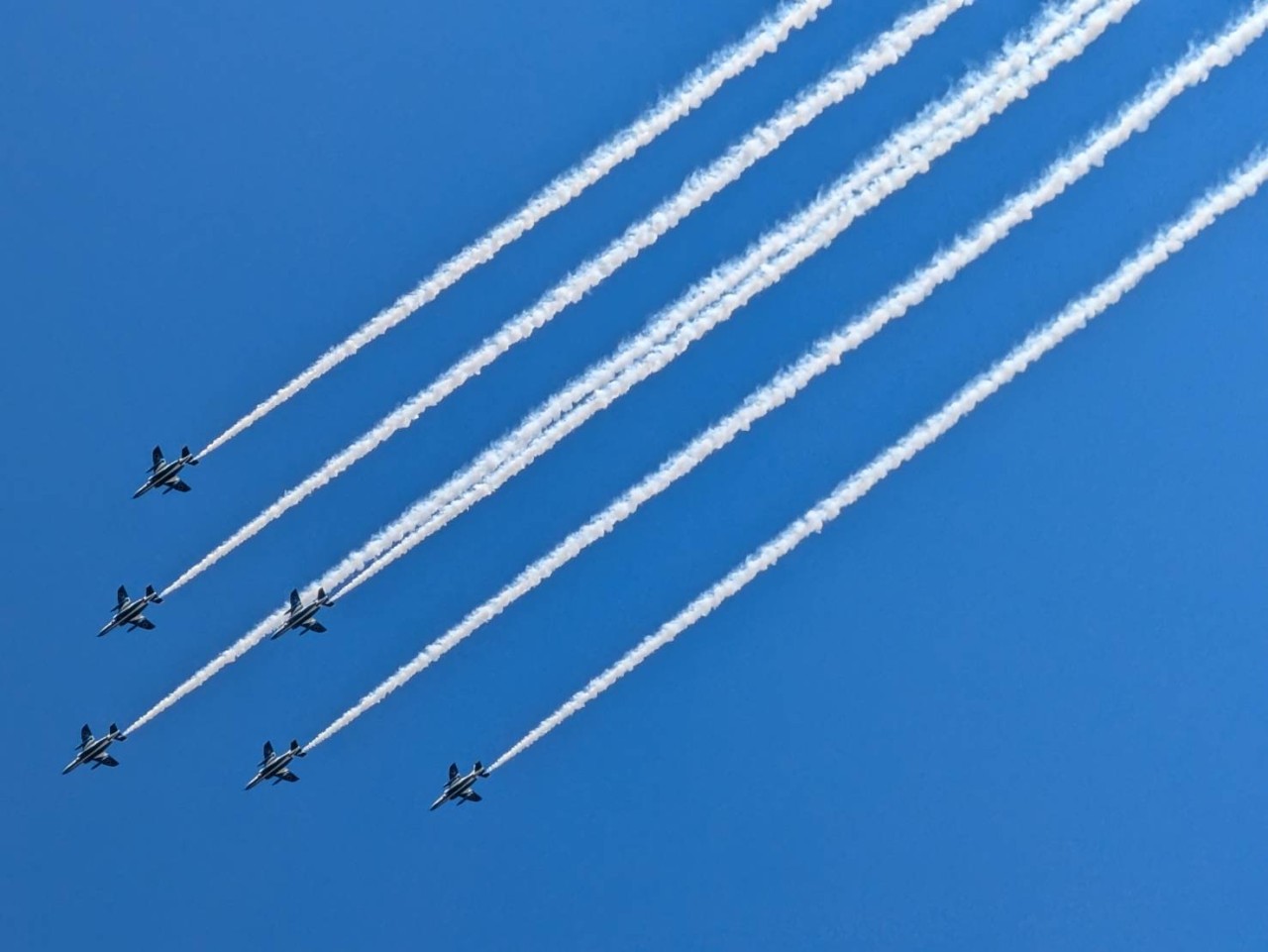 ちょびレポ・美浜町町制施行70周年記念事業【We love♡ Mihama